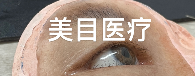 154822655.png 45eef0a68ad84f5292785ef56a6ded83.png